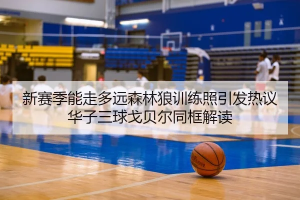 新赛季能走多远森林狼训练照引发热议华子三球戈贝尔同框解读